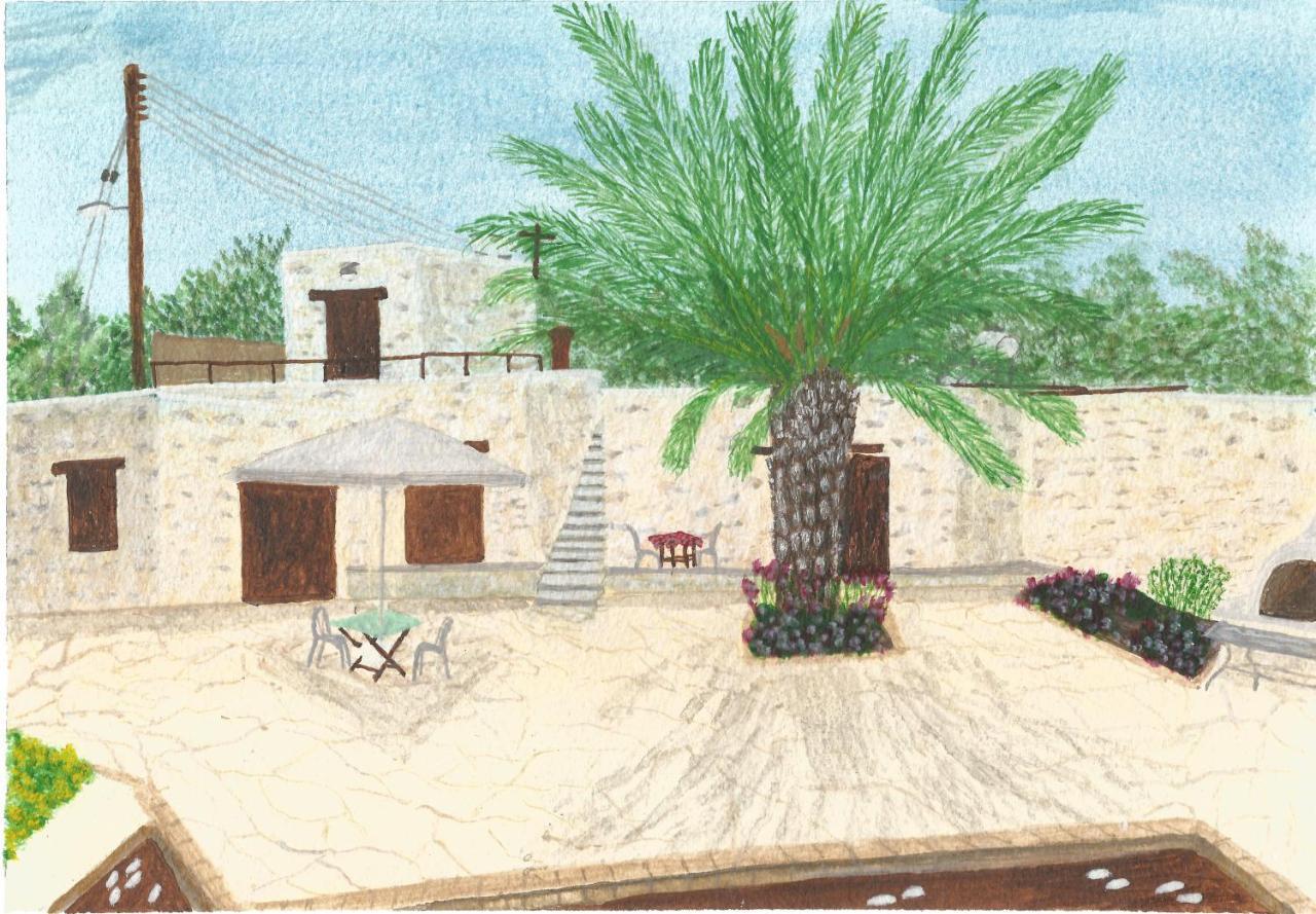 Palm Tree Oriental House And Homestay Polis ภายนอก รูปภาพ